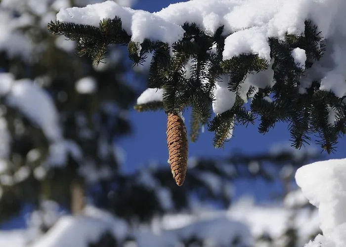 Pensión Landhaus Steer Donnersbachwald